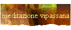 meditazione vipassana