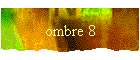 ombre 8