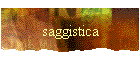 saggistica