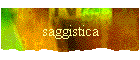 saggistica